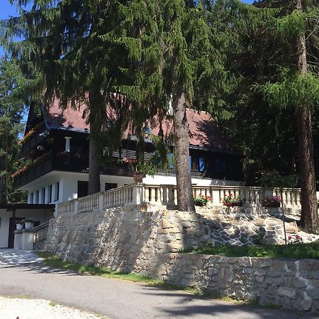 Hunting Lodge Vitkov Sokolov Exterior foto